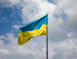 Ukraine Flag